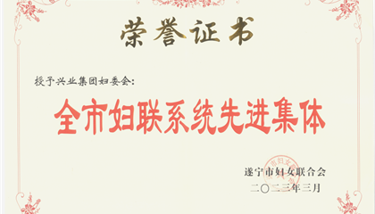 喜報！興業(yè)集團婦委會榮獲“全市婦聯(lián)系統(tǒng)先進集體”榮譽稱號